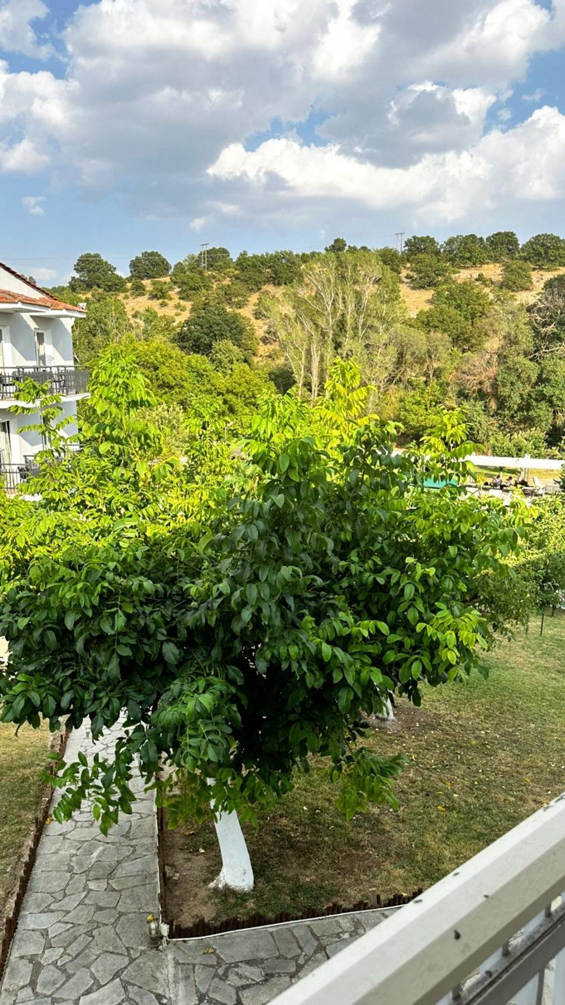 Tselikas Hotel Kozani Pokój zdjęcie